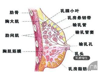 乳腺增生有什么危害